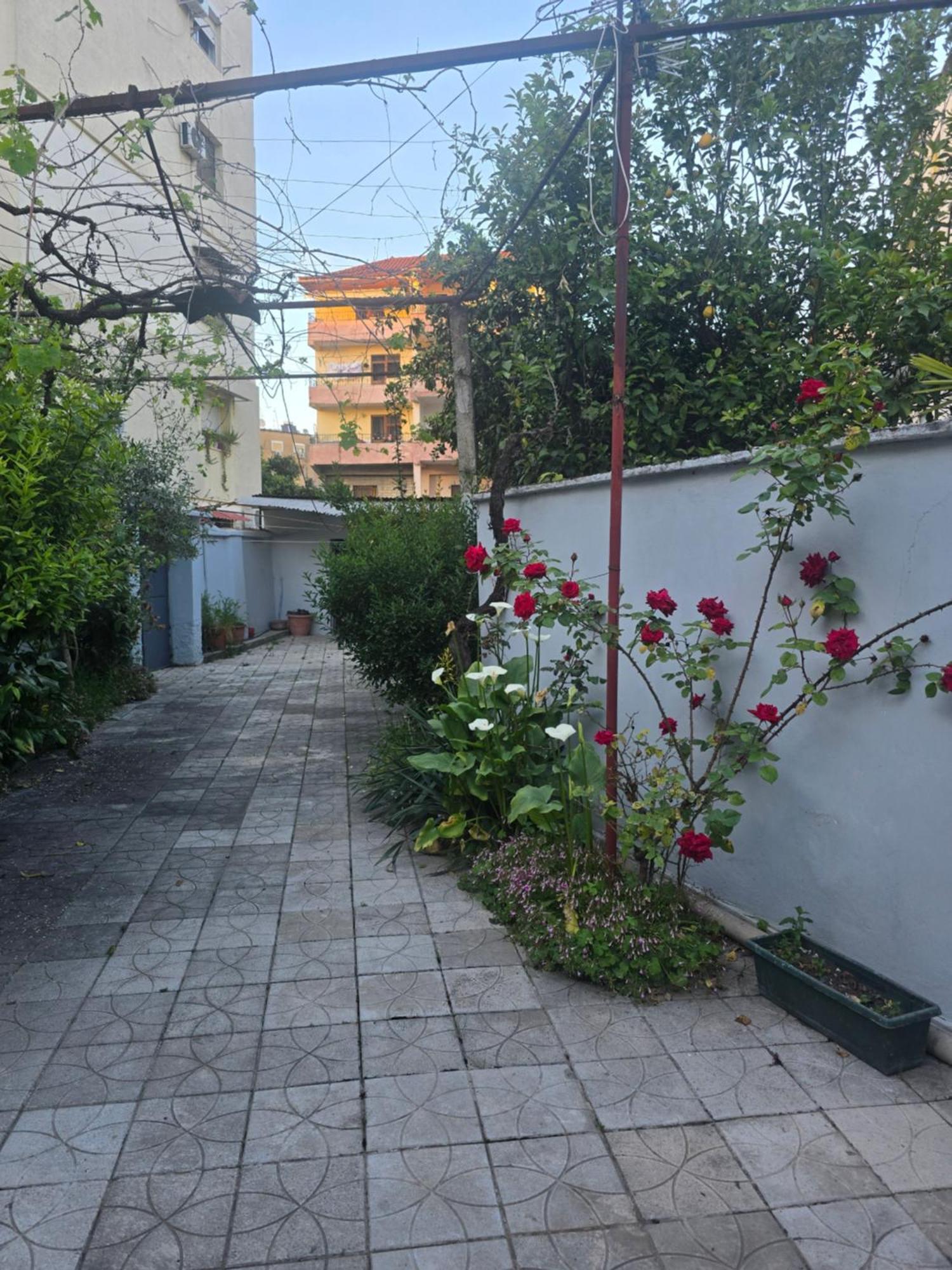 Joel House Tirana